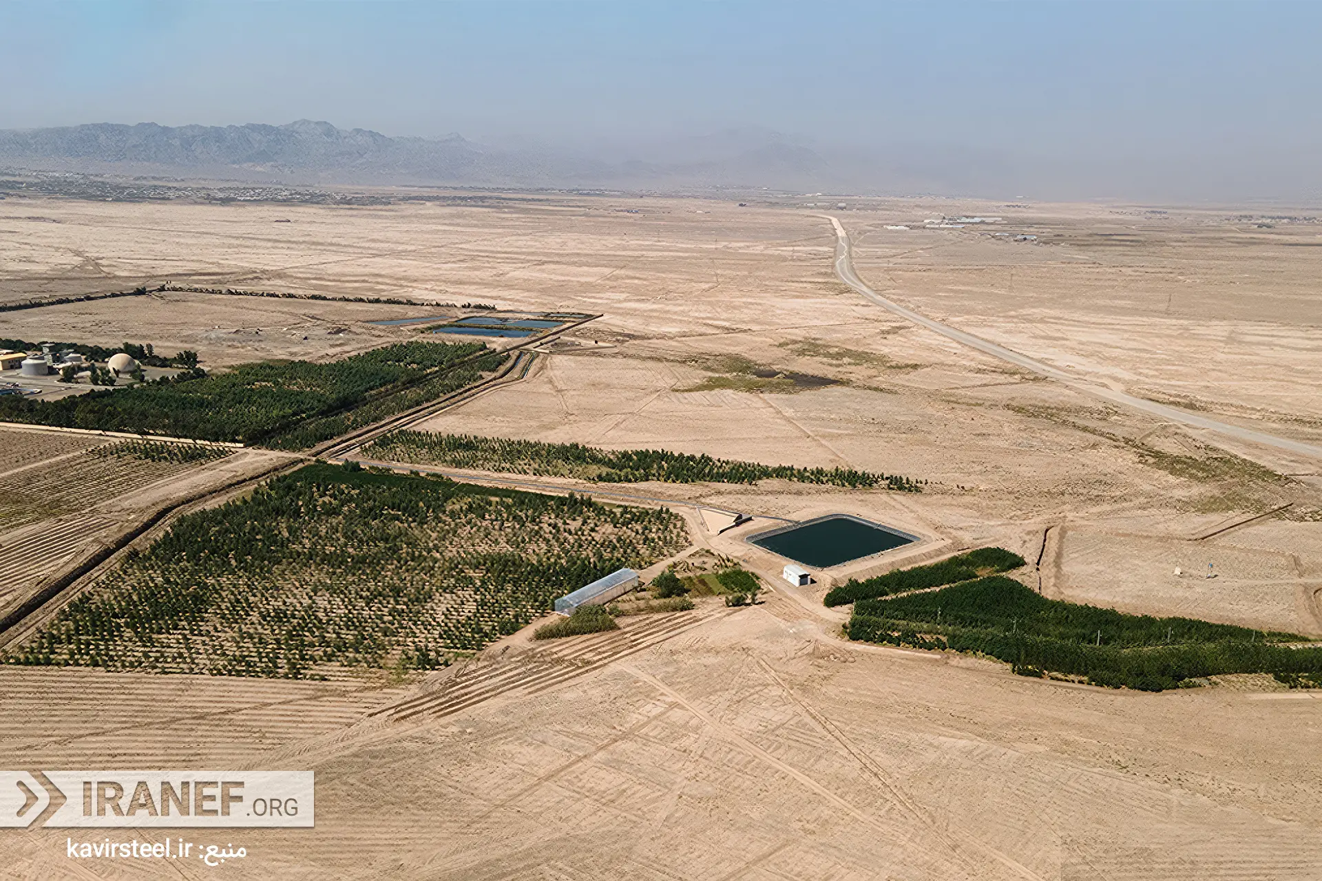 جنگل شهری به‌آفرین گلساران؛ پروژه زراعت چوب و بیابان‌زدایی گروه فولاد کویر