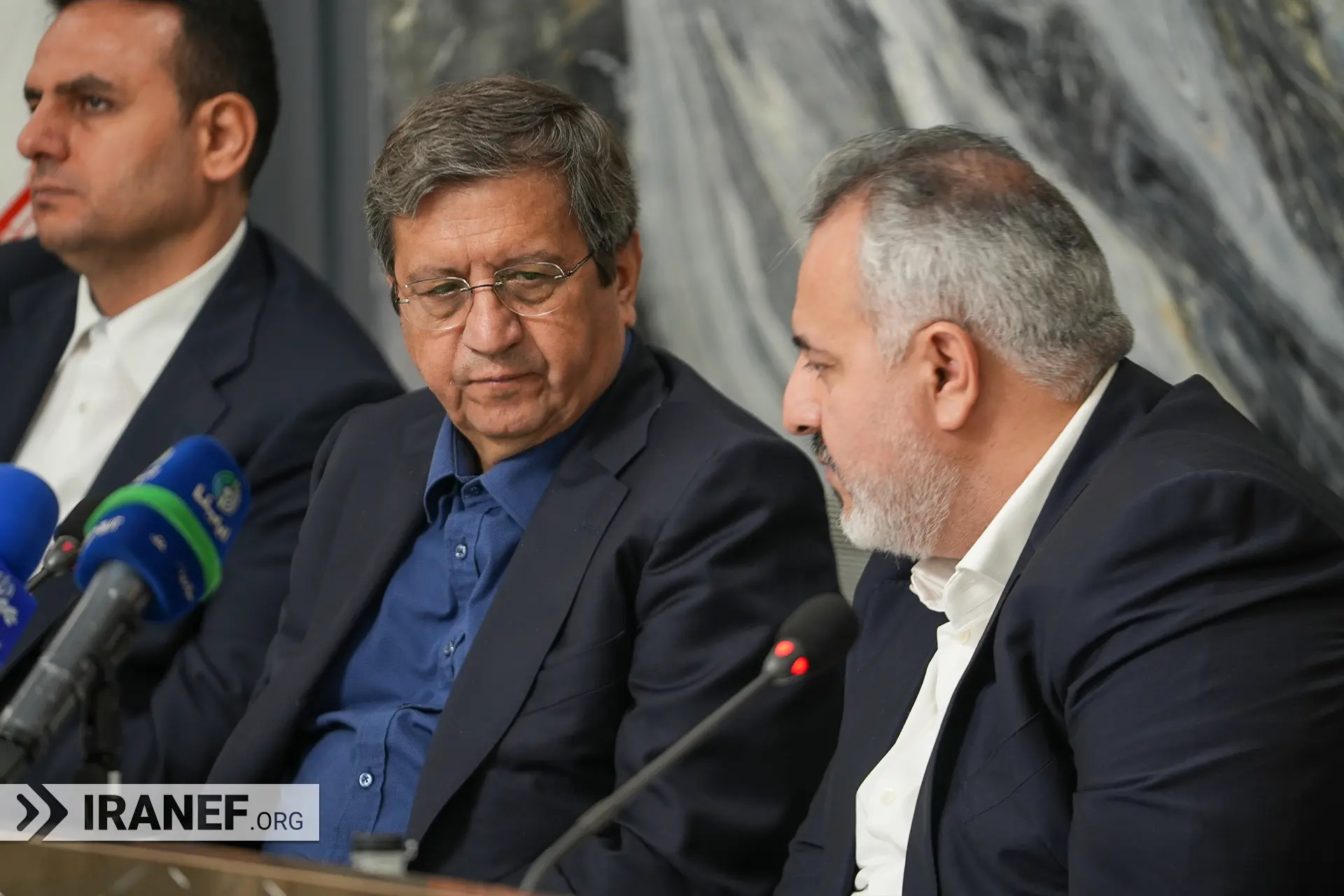 دکتر همتی موقع حرف زدن در مورد مسائل اقتصادی