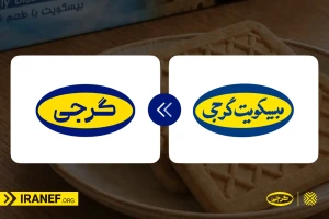 بیسکوییت گرجی تبدیل شد به گرجی